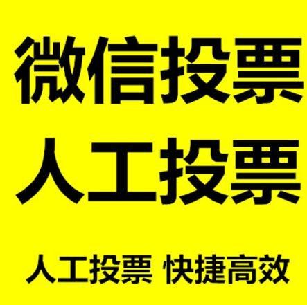 荆门市投票活动拉票能被查出来吗？如何操作能不被发现？